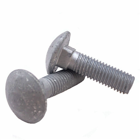 鈦SS圓頭方形蘑菇細牙中國供應商不銹鋼DIN 603車架螺栓和螺母